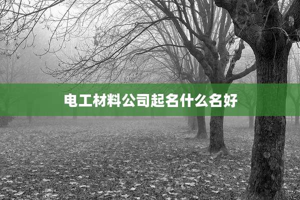 电工材料公司起名什么名好