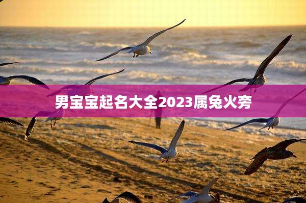 男宝宝起名大全2023属兔火旁