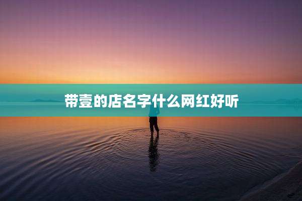 带壹的店名字什么网红好听