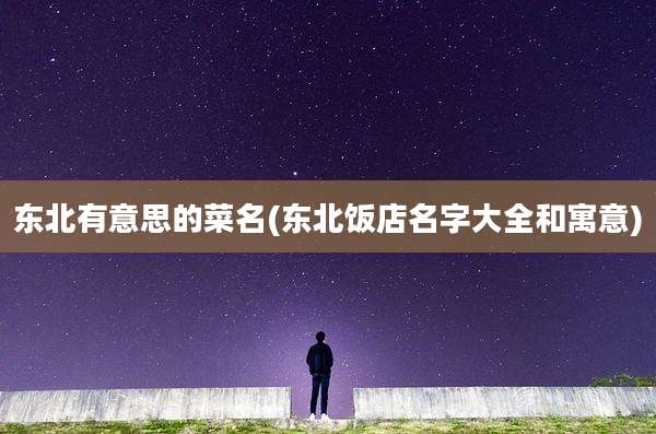 东北有意思的菜名(东北饭店名字大全和寓意)