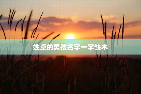 姓卓的男孩名字一字缺木