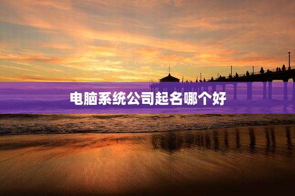 电脑系统公司起名哪个好