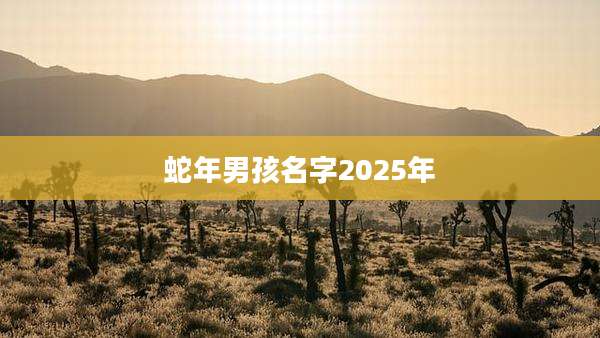 蛇年男孩名字2025年