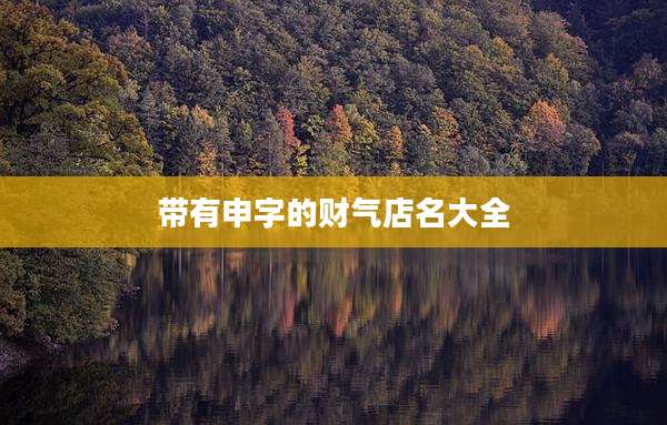 带有申字的财气店名大全