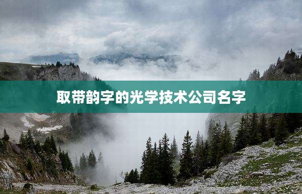取带韵字的光学技术公司名字