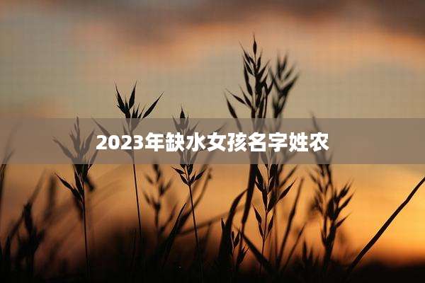 2023年缺水女孩名字姓农