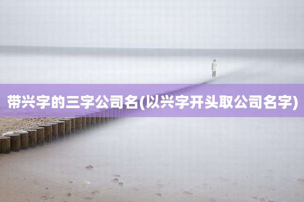 带兴字的三字公司名(以兴字开头取公司名字)
