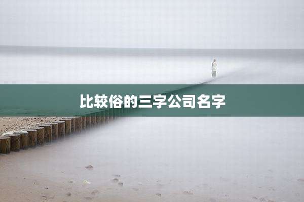 比较俗的三字公司名字