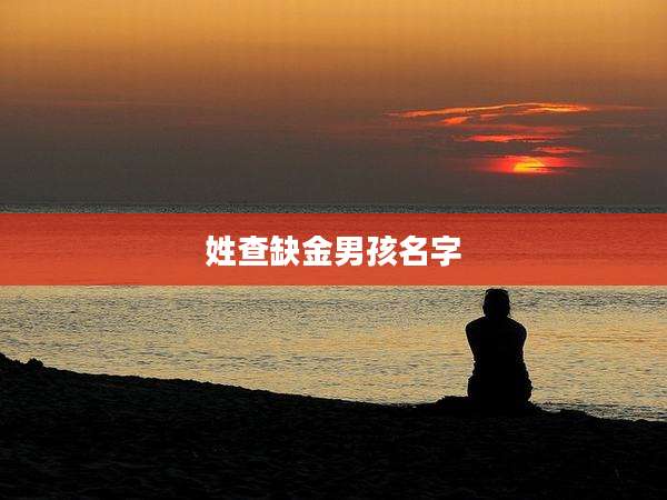姓查缺金男孩名字