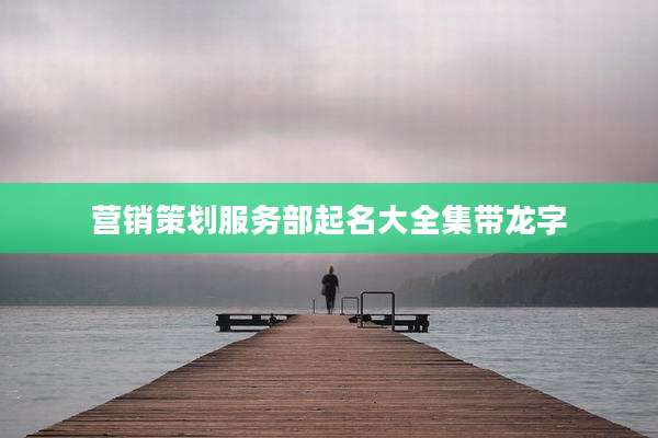 营销策划服务部起名大全集带龙字