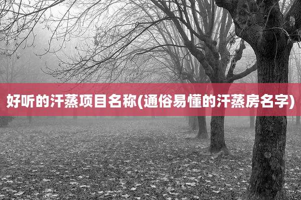 好听的汗蒸项目名称(通俗易懂的汗蒸房名字)
