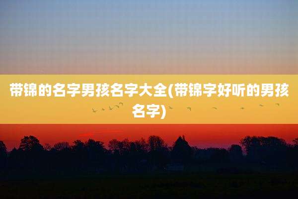 带锦的名字男孩名字大全(带锦字好听的男孩名字)