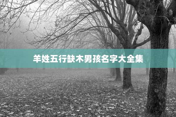 羊姓五行缺木男孩名字大全集