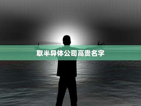 取半导体公司高贵名字