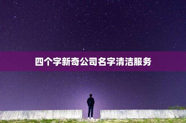 四个字新奇公司名字清洁服务