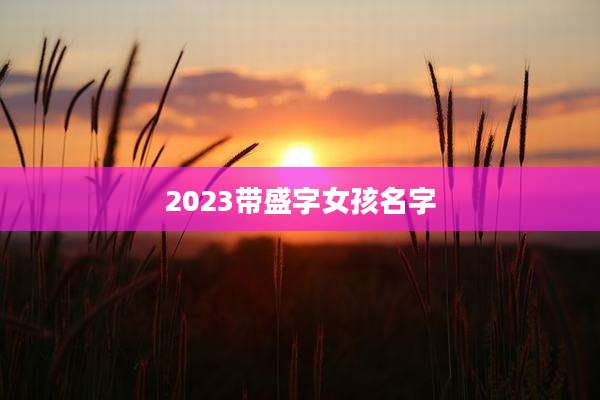 2023带盛字女孩名字