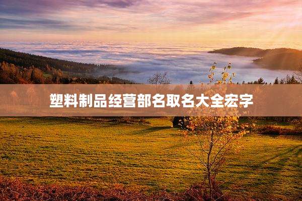 塑料制品经营部名取名大全宏字