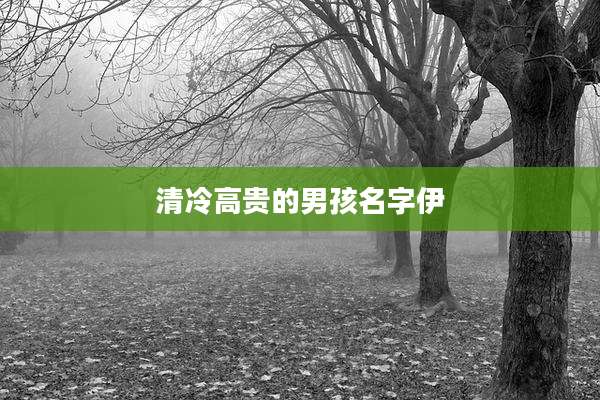 清冷高贵的男孩名字伊