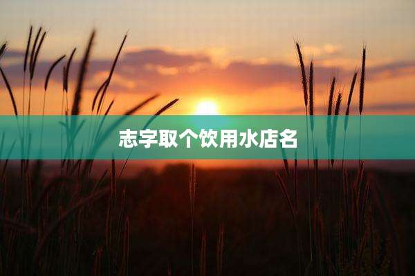 志字取个饮用水店名