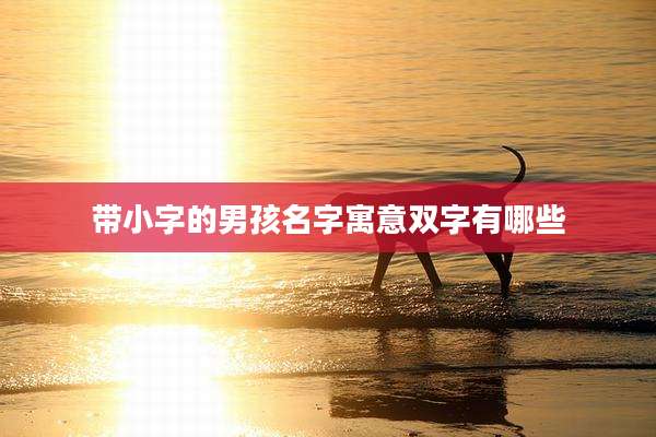 带小字的男孩名字寓意双字有哪些