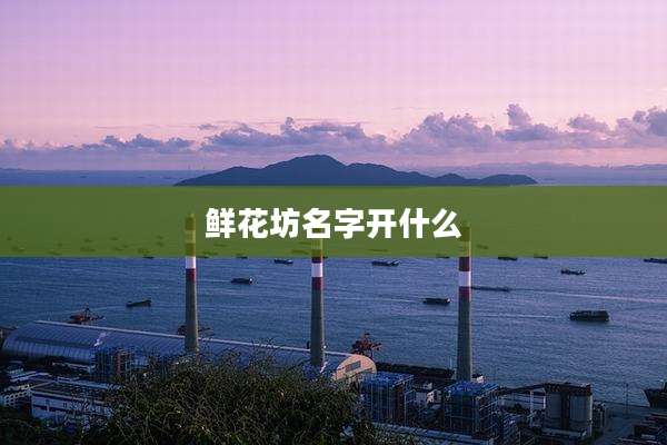 鲜花坊名字开什么
