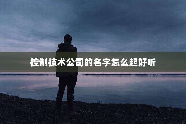 控制技术公司的名字怎么起好听