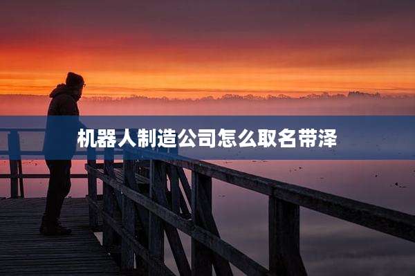 机器人制造公司怎么取名带泽