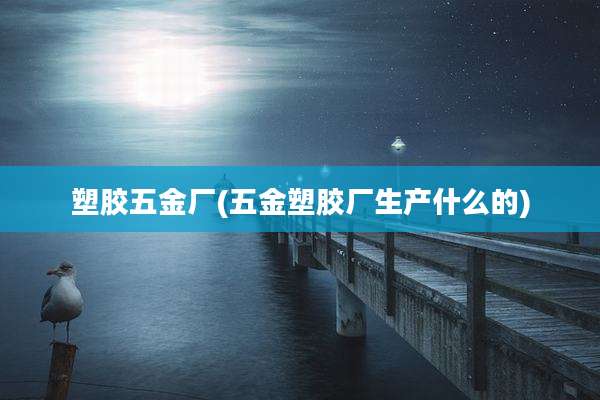 塑胶五金厂(五金塑胶厂生产什么的)