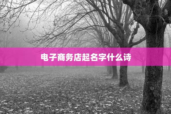 电子商务店起名字什么诗