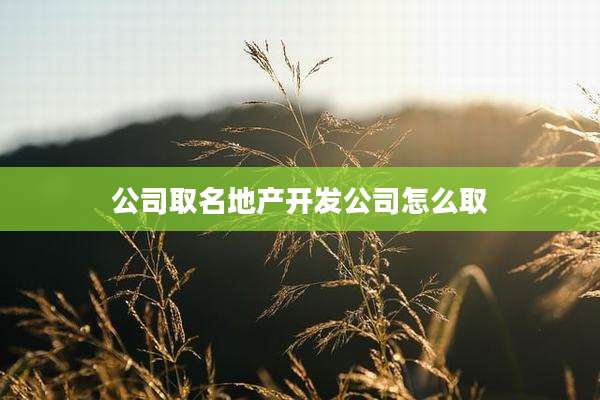 公司取名地产开发公司怎么取
