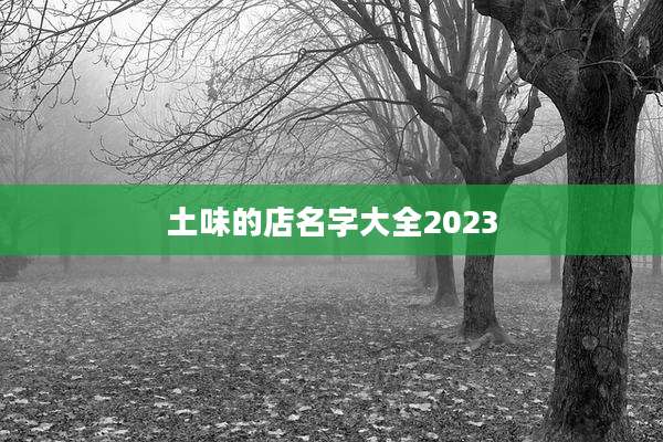 土味的店名字大全2023