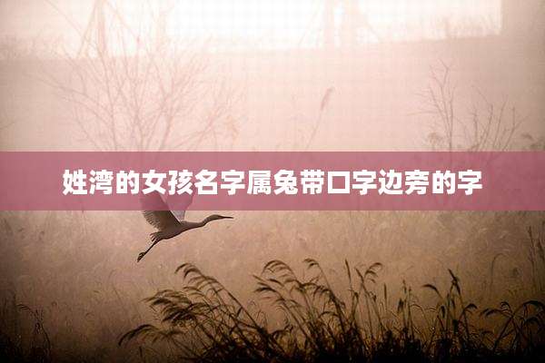 姓湾的女孩名字属兔带口字边旁的字