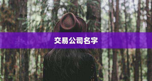 交易公司名字