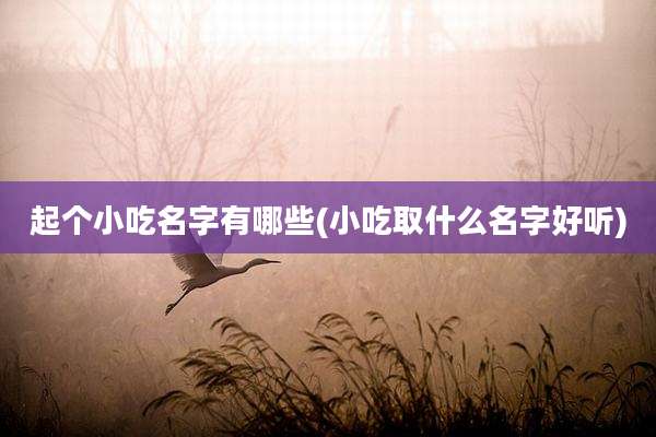起个小吃名字有哪些(小吃取什么名字好听)