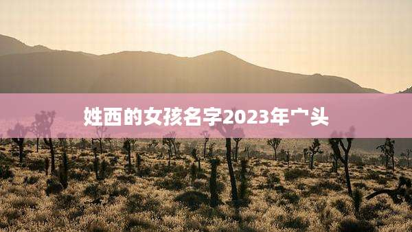 姓西的女孩名字2023年宀头