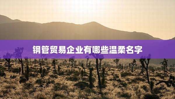 钢管贸易企业有哪些温柔名字