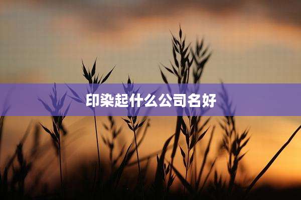 印染起什么公司名好