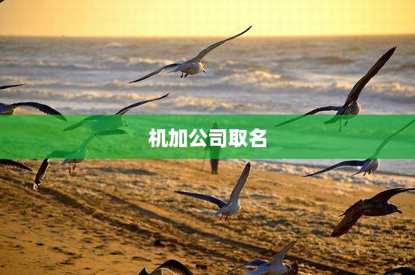 机加公司取名