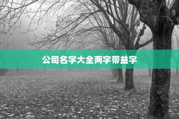 公司名字大全两字带益字