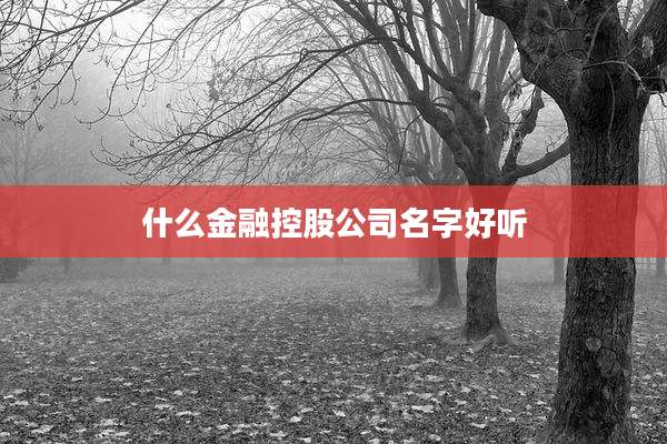 什么金融控股公司名字好听