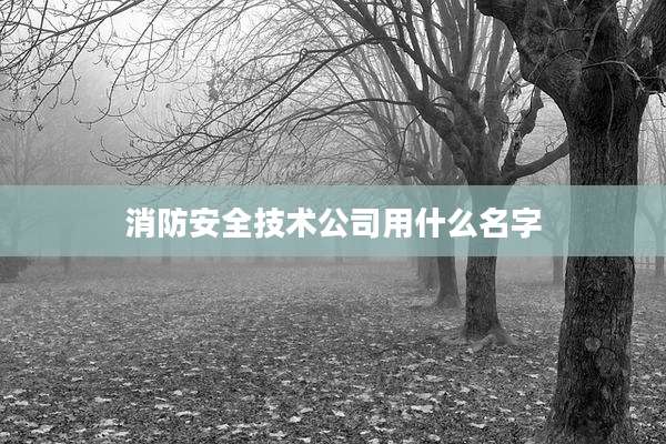 消防安全技术公司用什么名字
