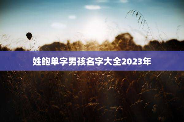 姓鲍单字男孩名字大全2023年