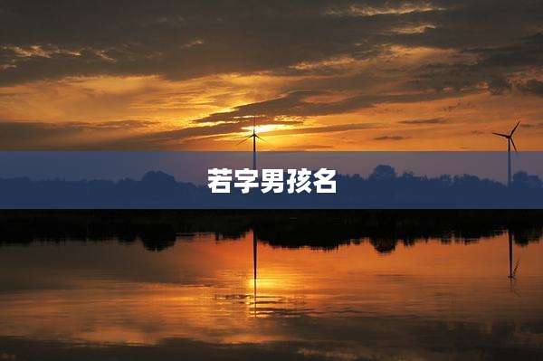 若字男孩名
