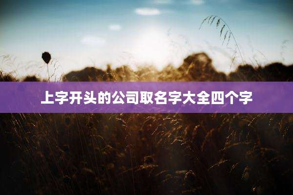 上字开头的公司取名字大全四个字