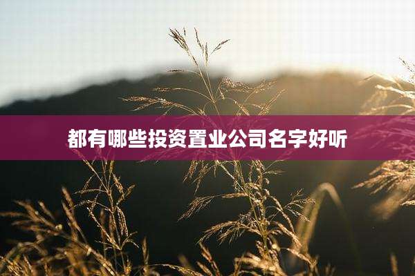 都有哪些投资置业公司名字好听