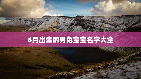 6月出生的男兔宝宝名字大全
