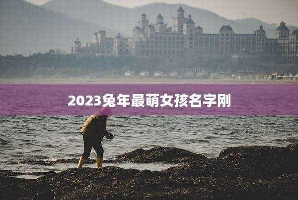 2023兔年最萌女孩名字刚