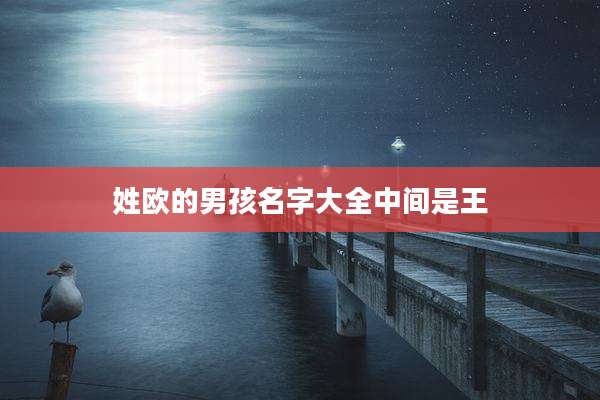 姓欧的男孩名字大全中间是王