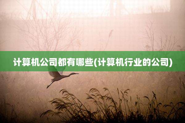 计算机公司都有哪些(计算机行业的公司)