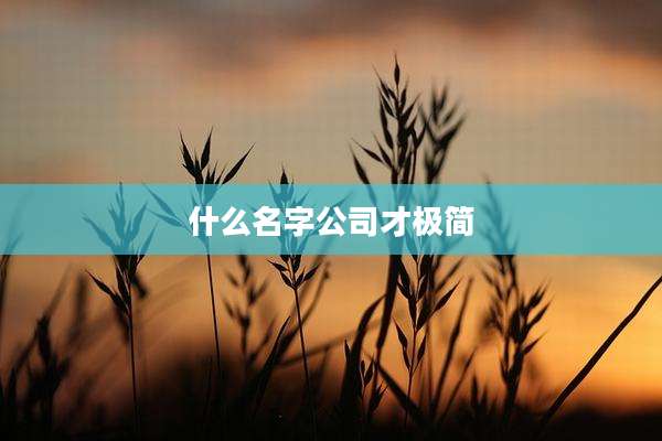 什么名字公司才极简
